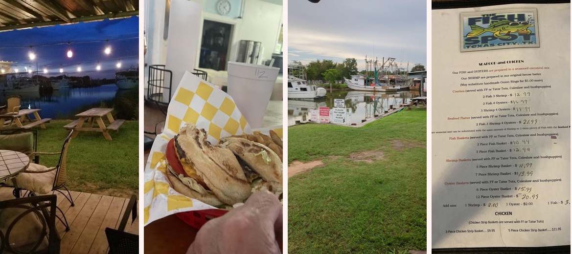 The Fish Spot Gallery Image 1