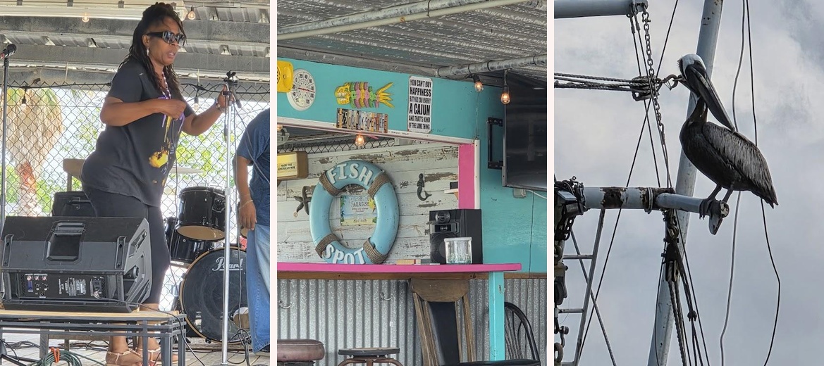 The Fish Spot Gallery Image 4