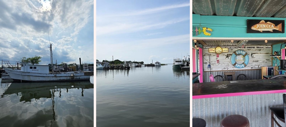 The Fish Spot Gallery Image 5